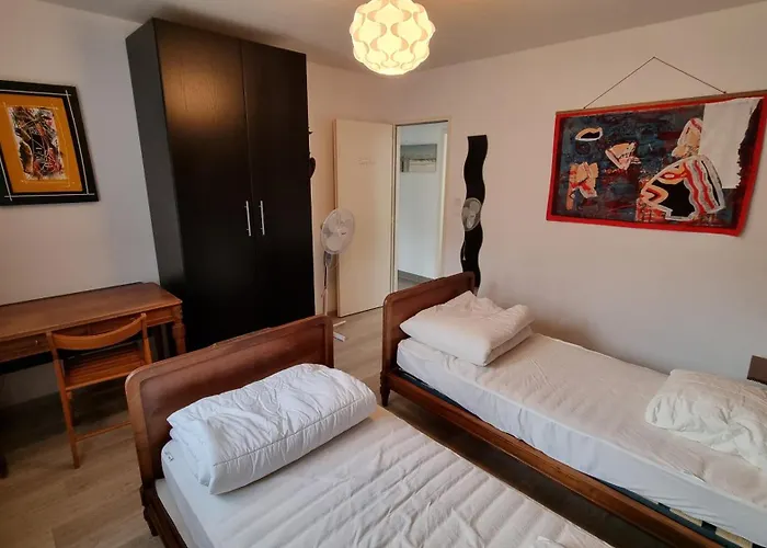 Villa Tre Les Pins, 7 Chambres, A 100m Du De Lacanau